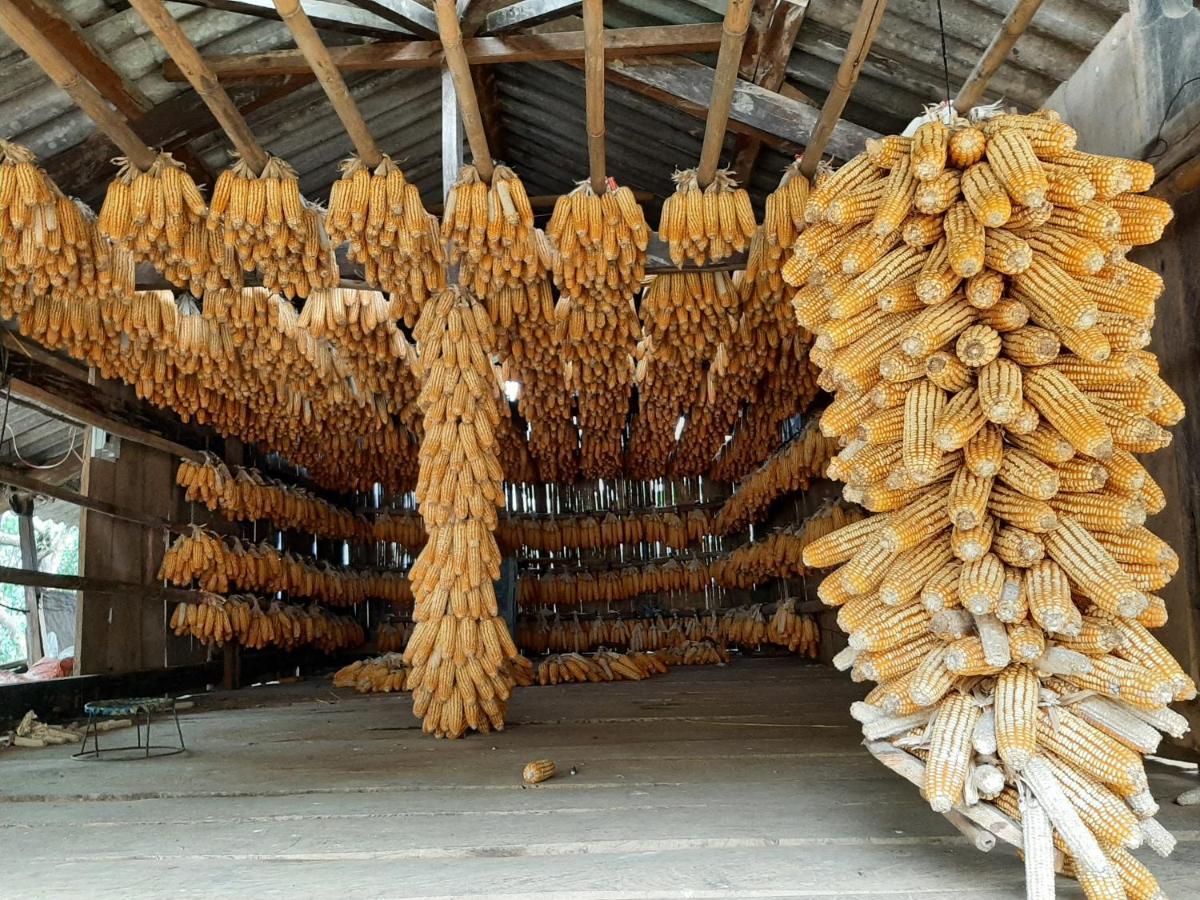 Dong Suoi H'Mong Homestay & Bungalow - Trek & Vegetarian Food Mu Cang Chai Buitenkant foto