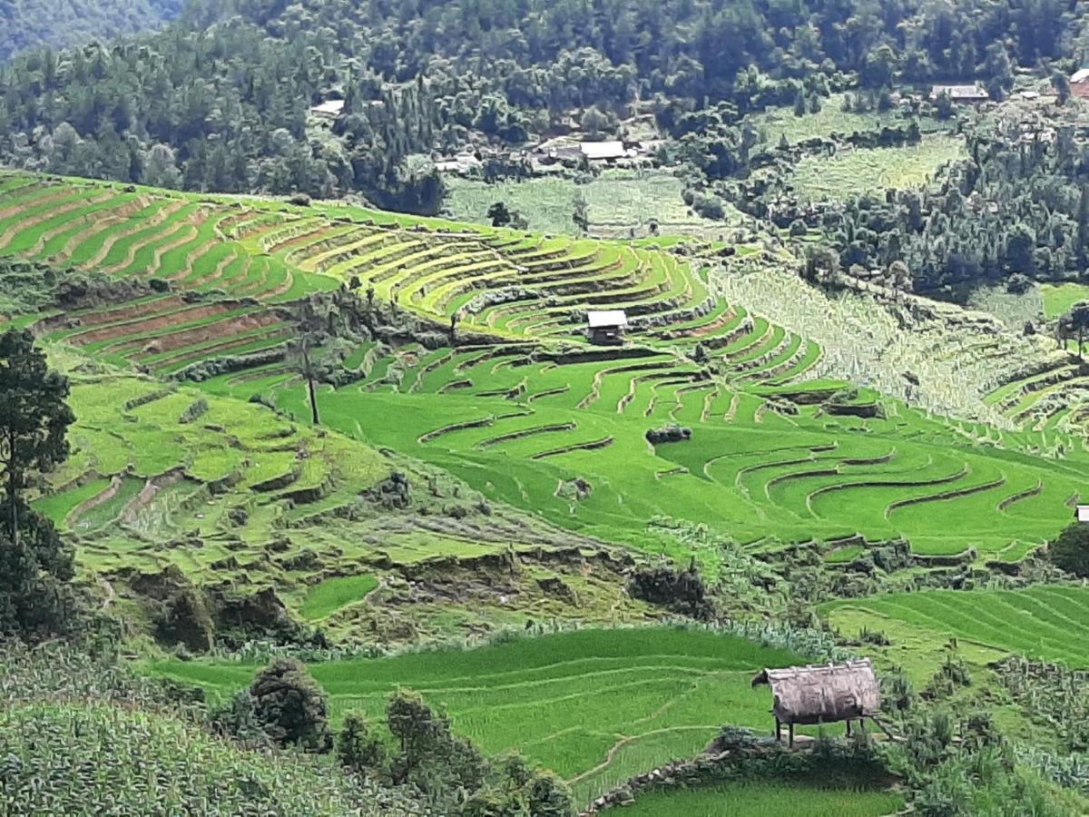 Dong Suoi H'Mong Homestay & Bungalow - Trek & Vegetarian Food Mu Cang Chai Buitenkant foto