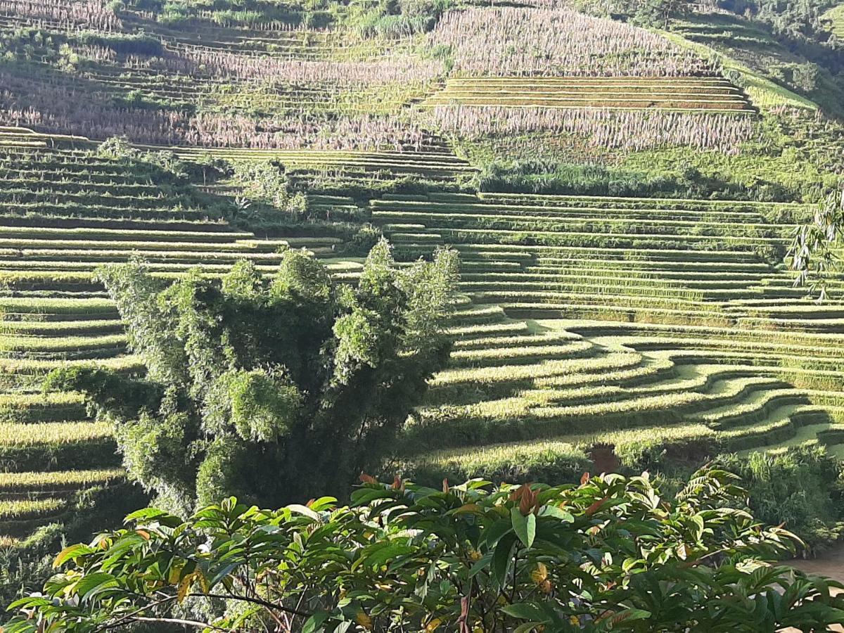 Dong Suoi H'Mong Homestay & Bungalow - Trek & Vegetarian Food Mu Cang Chai Buitenkant foto