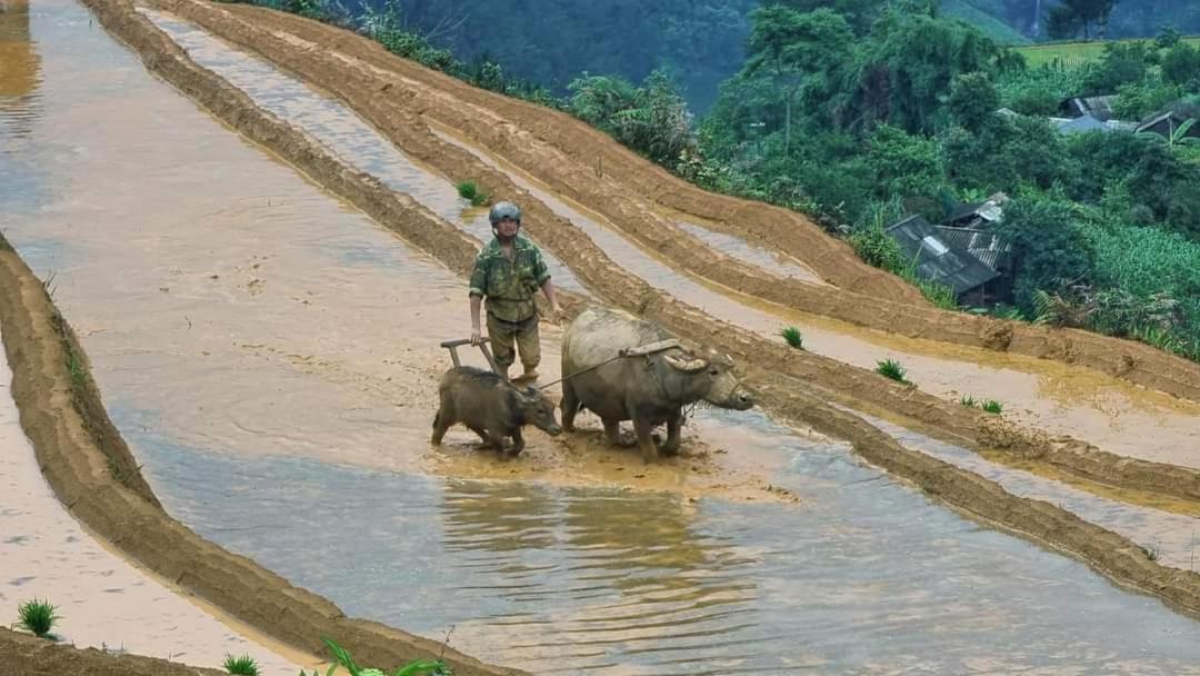 Dong Suoi H'Mong Homestay & Bungalow - Trek & Vegetarian Food Mu Cang Chai Buitenkant foto