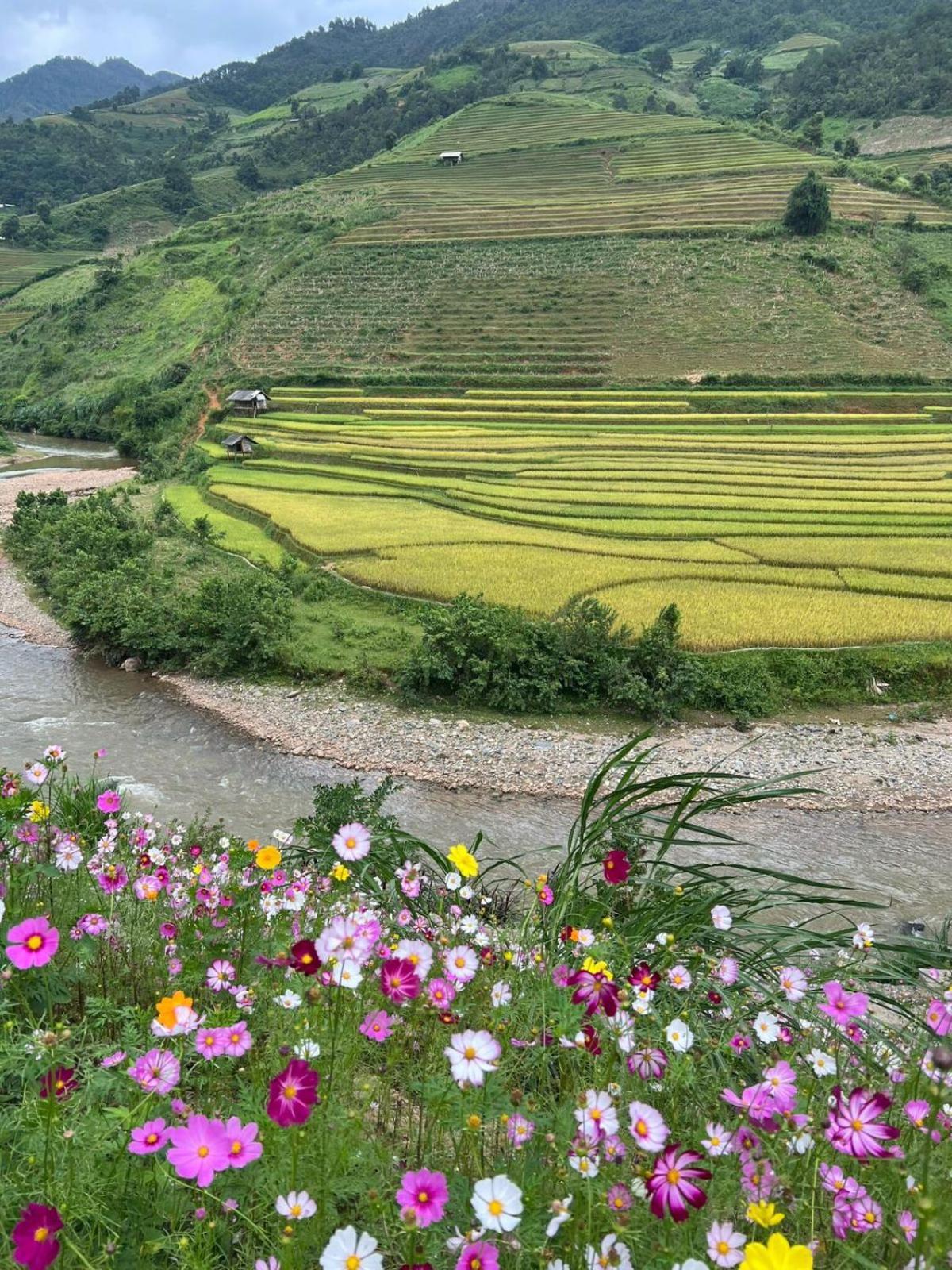 Dong Suoi H'Mong Homestay & Bungalow - Trek & Vegetarian Food Mu Cang Chai Buitenkant foto