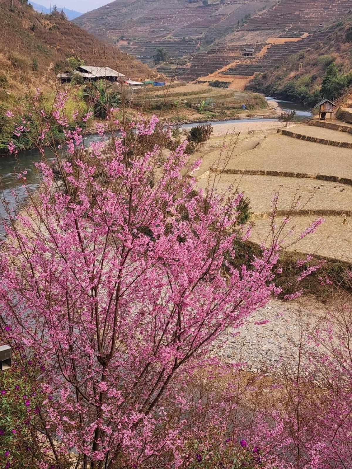 Dong Suoi H'Mong Homestay & Bungalow - Trek & Vegetarian Food Mu Cang Chai Buitenkant foto